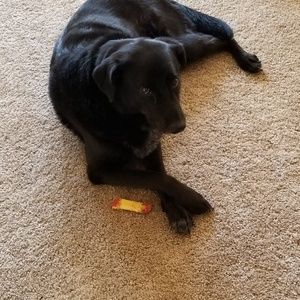 Meet your Posher, Matt